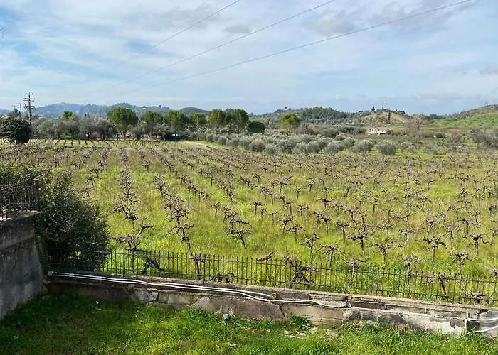 Aris * Ολυμπία