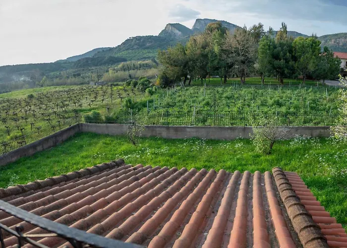 Aris Ancient Olympia